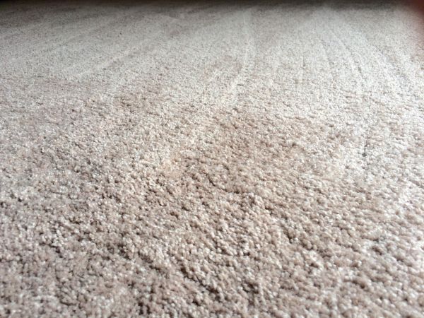 Plush Carpet Installation in Mesa