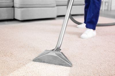 Professional Carpet Cleaning in Action