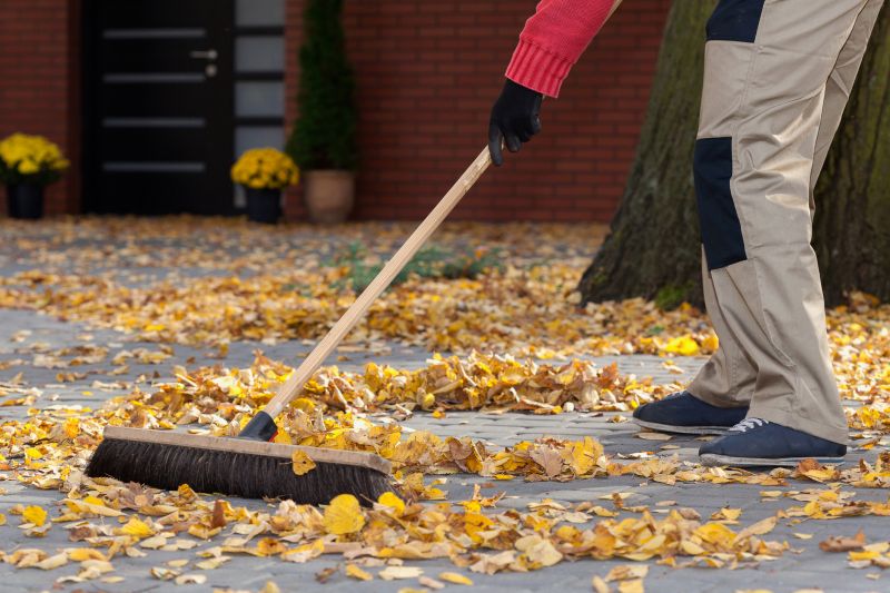 Fall Carpet Maintenance